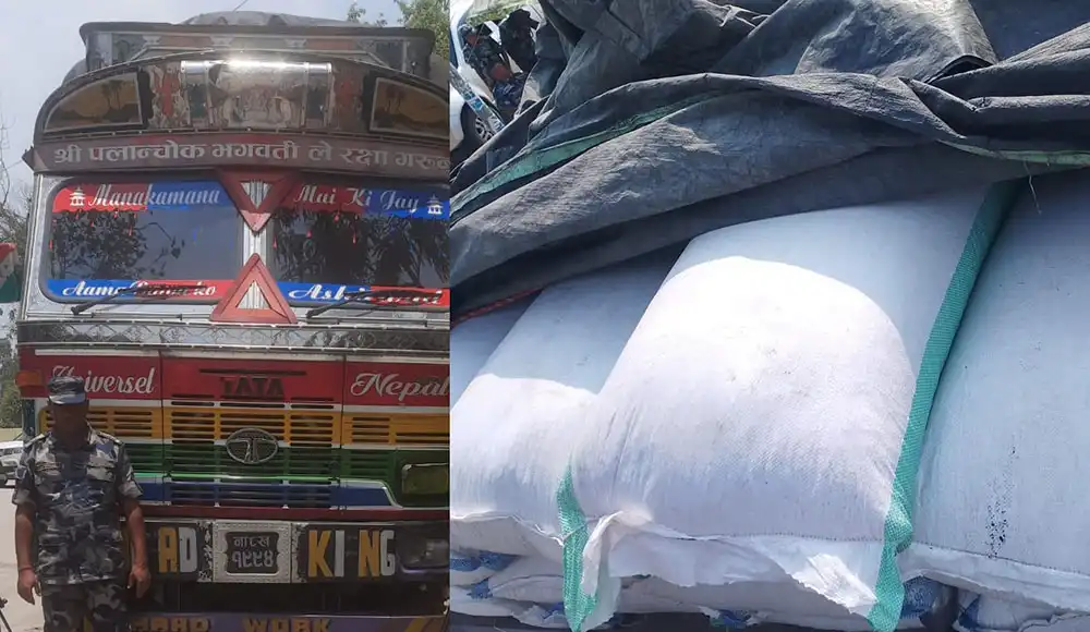 कञ्चनपुरबाट ३४ लाखभन्दा बढीको बीउसहित ट्रक नियन्त्रणमा